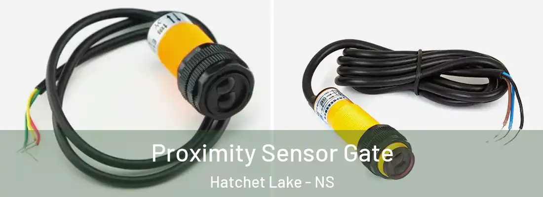 Proximity Sensor Gate Hatchet Lake - NS