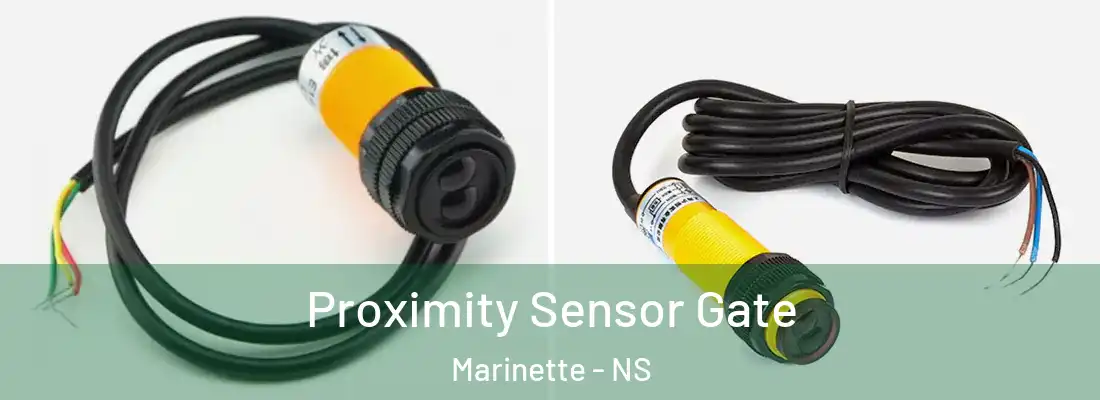 Proximity Sensor Gate Marinette - NS