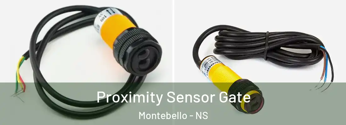 Proximity Sensor Gate Montebello - NS