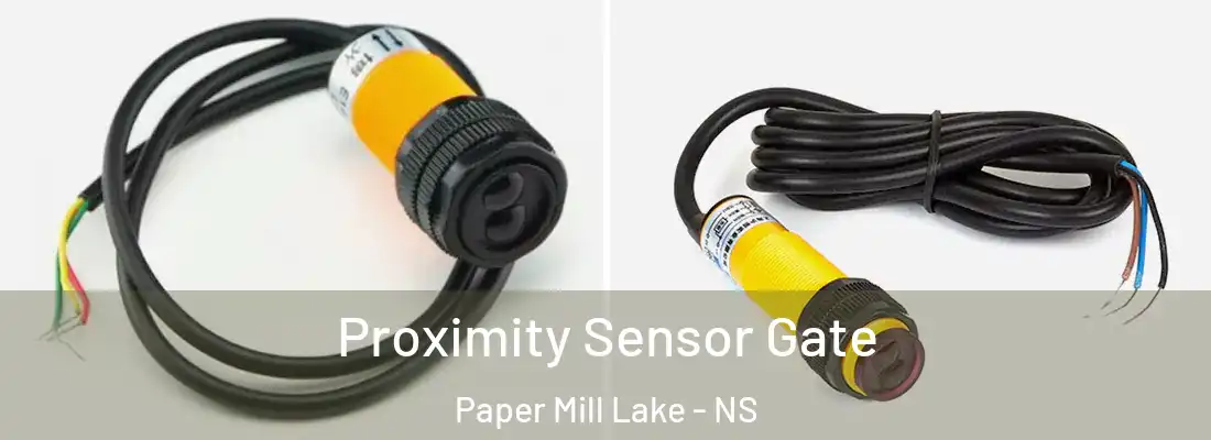Proximity Sensor Gate Paper Mill Lake - NS