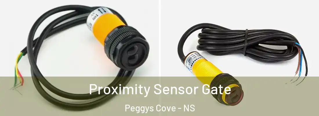 Proximity Sensor Gate Peggys Cove - NS