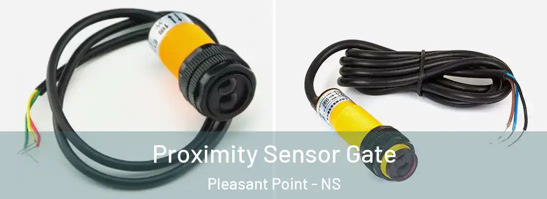 Proximity Sensor Gate Pleasant Point - NS