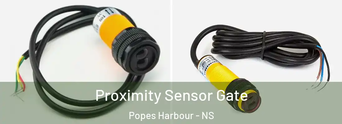 Proximity Sensor Gate Popes Harbour - NS