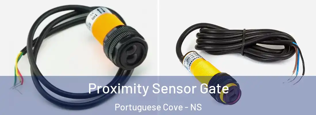 Proximity Sensor Gate Portuguese Cove - NS