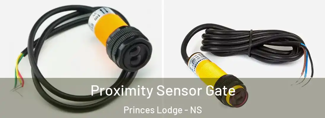 Proximity Sensor Gate Princes Lodge - NS