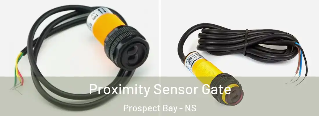 Proximity Sensor Gate Prospect Bay - NS