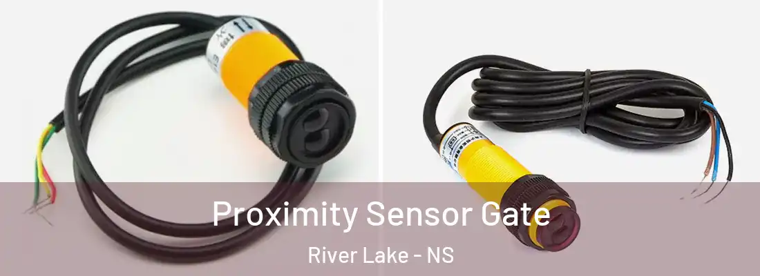 Proximity Sensor Gate River Lake - NS