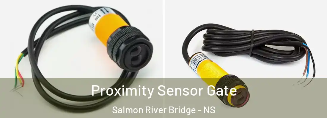 Proximity Sensor Gate Salmon River Bridge - NS
