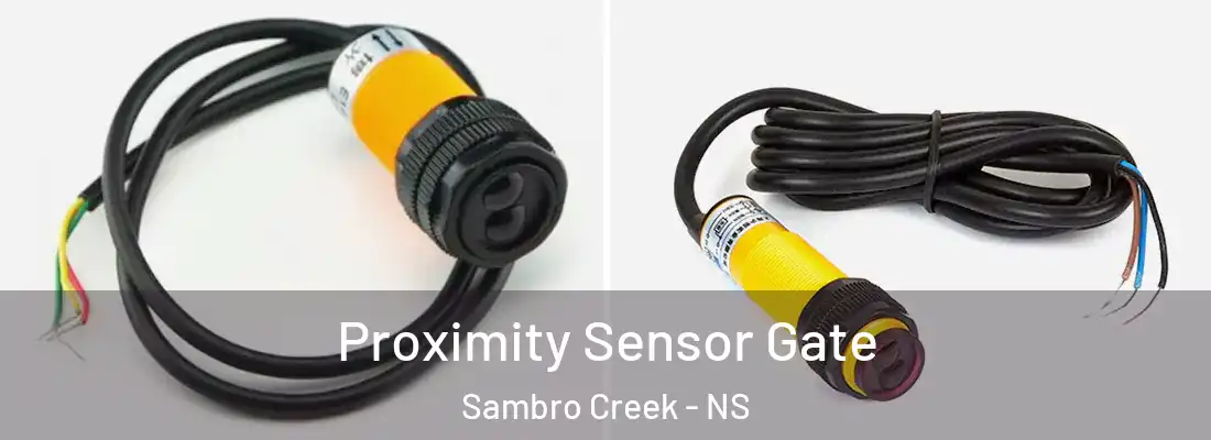 Proximity Sensor Gate Sambro Creek - NS