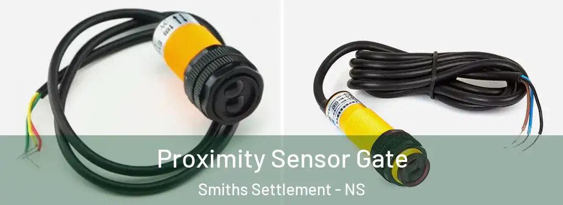 Proximity Sensor Gate Smiths Settlement - NS