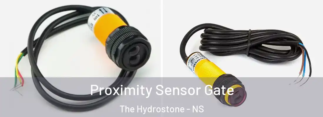Proximity Sensor Gate The Hydrostone - NS