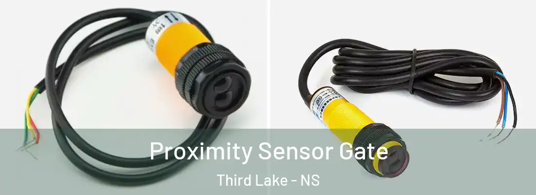 Proximity Sensor Gate Third Lake - NS