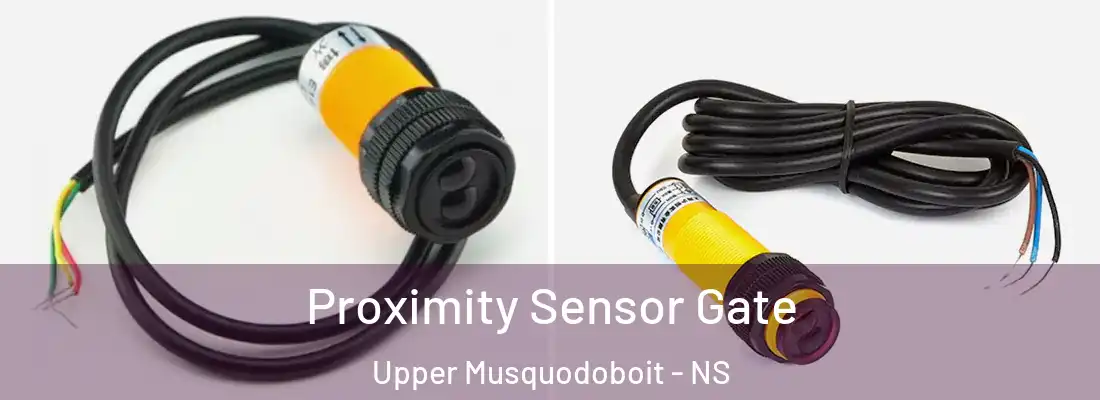 Proximity Sensor Gate Upper Musquodoboit - NS
