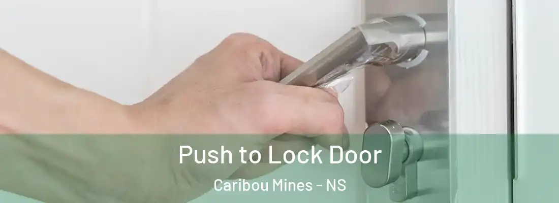 Push to Lock Door Caribou Mines - NS