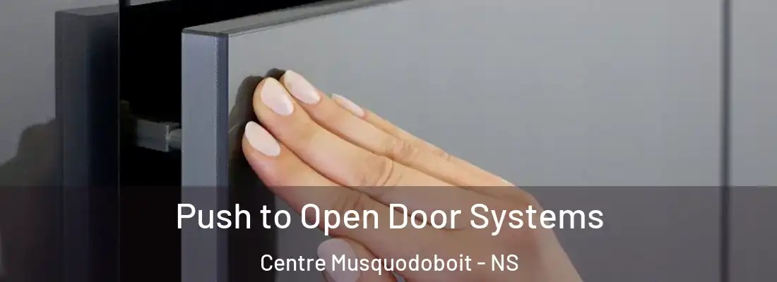  Push to Open Door Systems Centre Musquodoboit - NS
