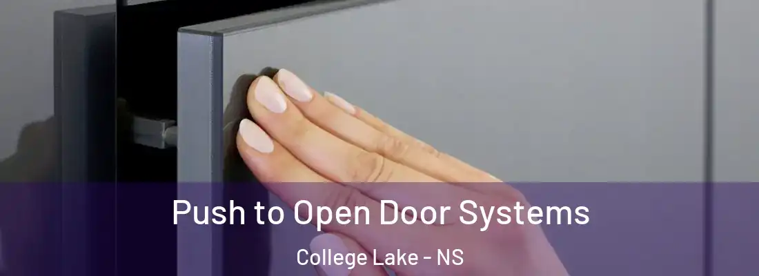 Push to Open Door Systems College Lake - NS