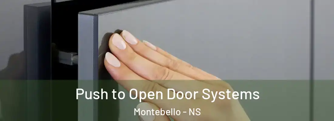 Push to Open Door Systems Montebello - NS