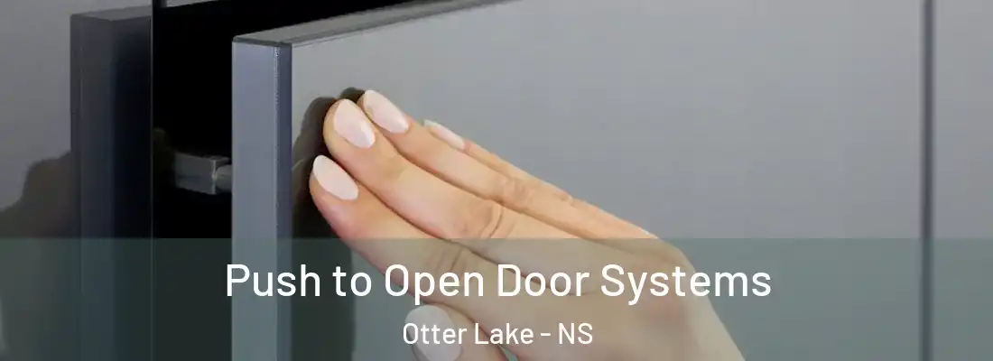 Push to Open Door Systems Otter Lake - NS