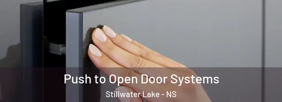 Push to Open Door Systems Stillwater Lake - NS