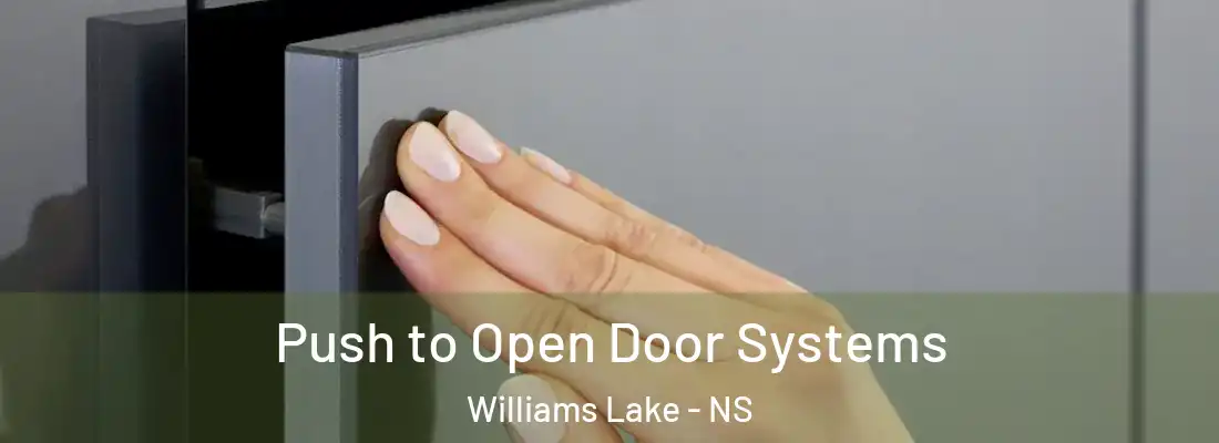 Push to Open Door Systems Williams Lake - NS