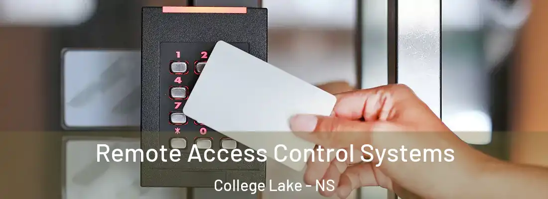 Remote Access Control Systems College Lake - NS