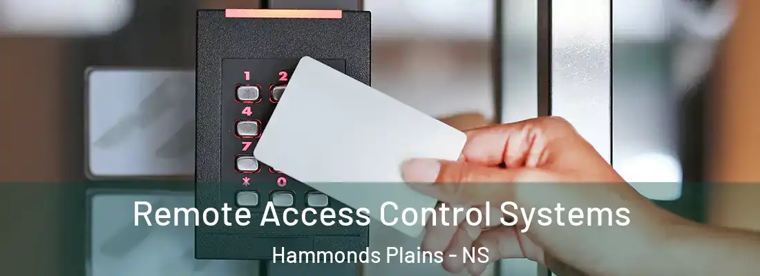 Remote Access Control Systems Hammonds Plains - NS