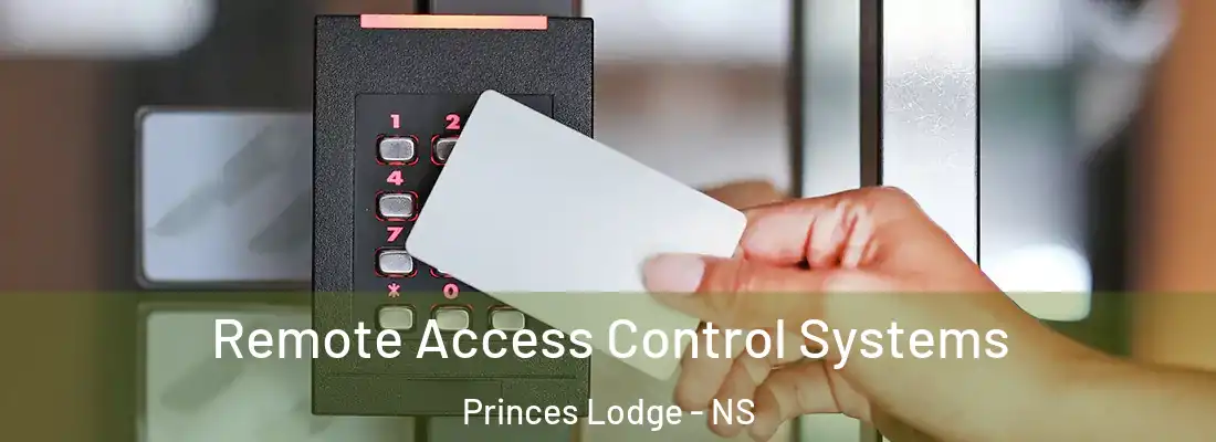  Remote Access Control Systems Princes Lodge - NS