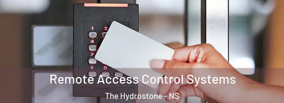 Remote Access Control Systems The Hydrostone - NS