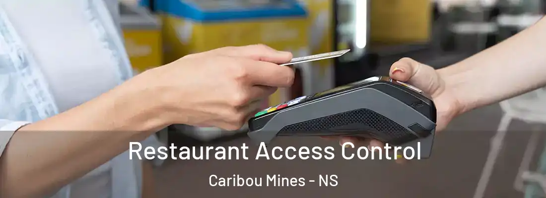  Restaurant Access Control Caribou Mines - NS