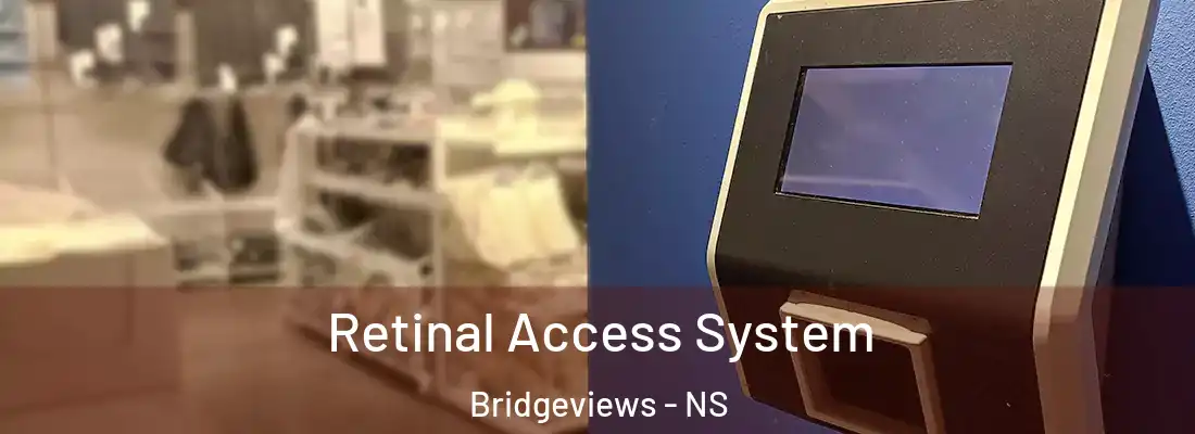 Retinal Access System Bridgeviews - NS
