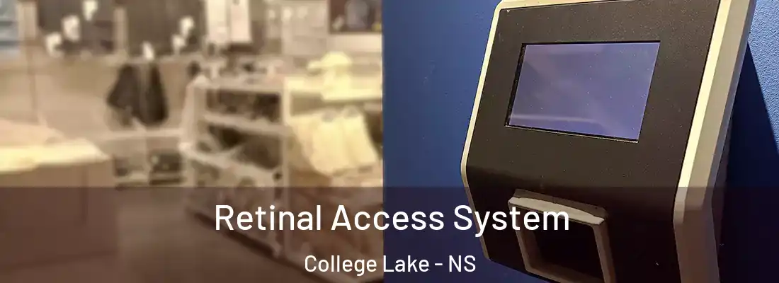 Retinal Access System College Lake - NS