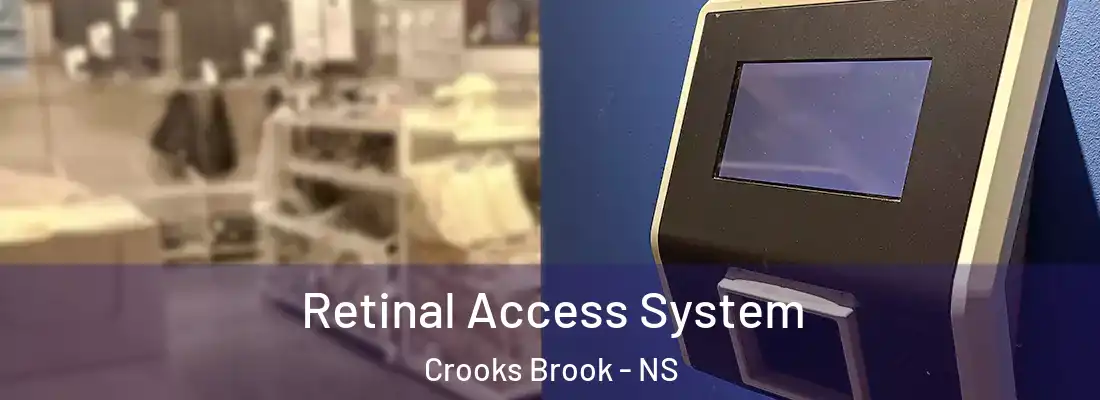 Retinal Access System Crooks Brook - NS
