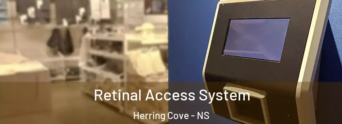 Retinal Access System Herring Cove - NS