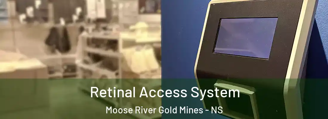  Retinal Access System Moose River Gold Mines - NS