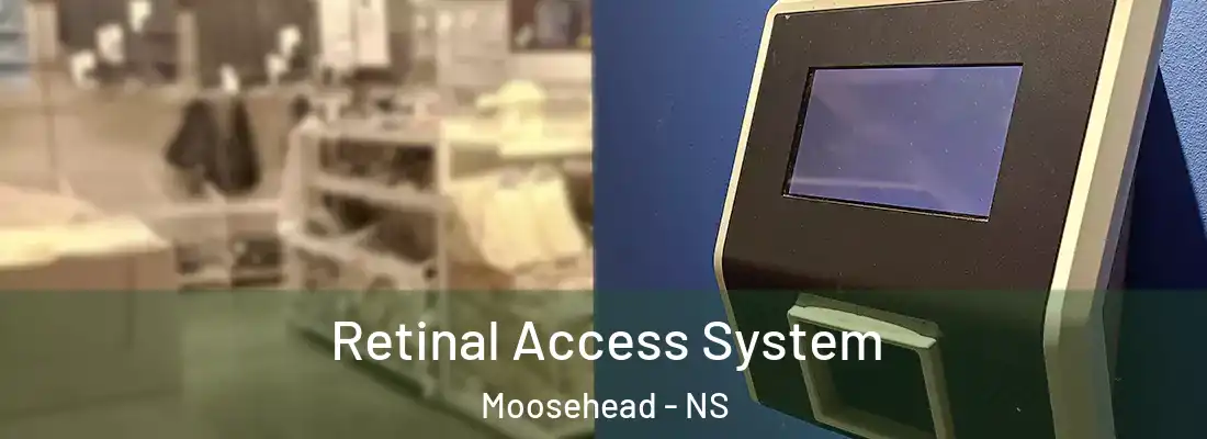Retinal Access System Moosehead - NS