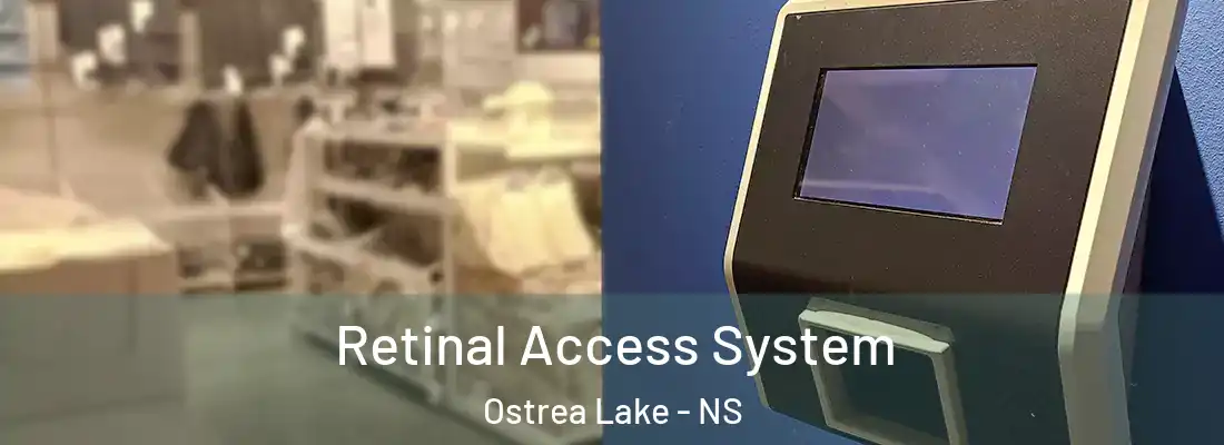 Retinal Access System Ostrea Lake - NS