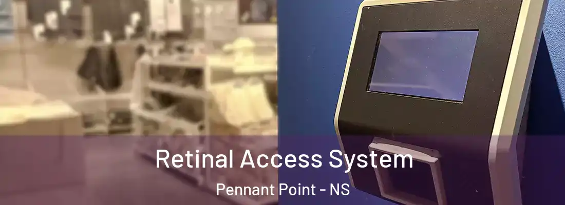Retinal Access System Pennant Point - NS
