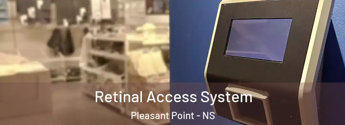 Retinal Access System Pleasant Point - NS