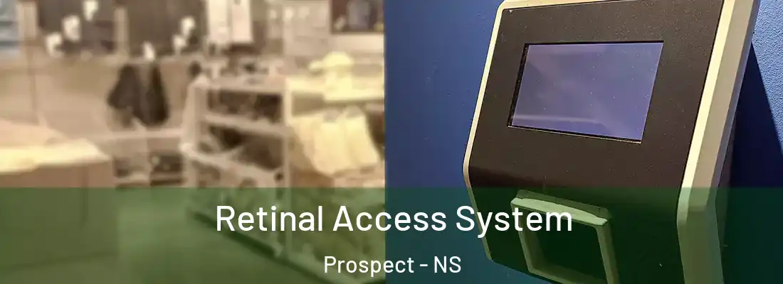  Retinal Access System Prospect - NS
