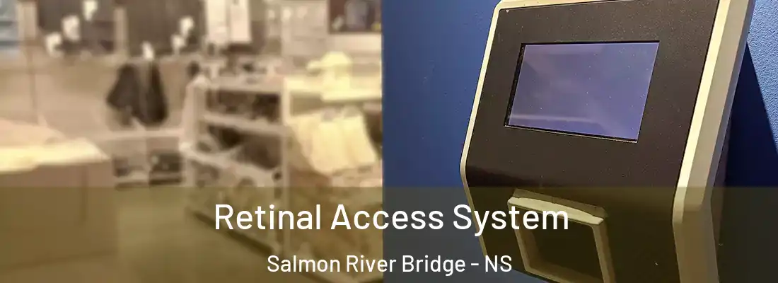 Retinal Access System Salmon River Bridge - NS