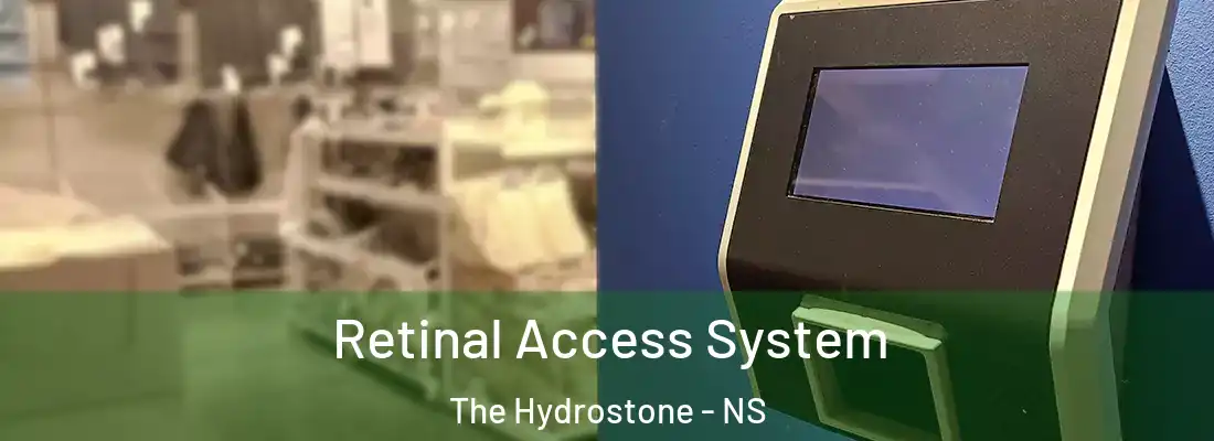 Retinal Access System The Hydrostone - NS