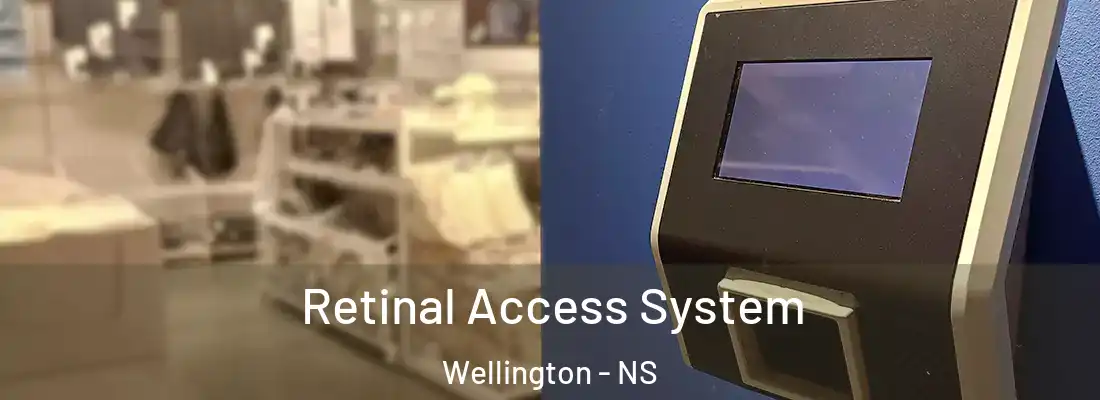 Retinal Access System Wellington - NS