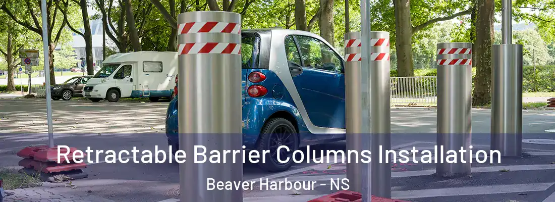  Retractable Barrier Columns Installation Beaver Harbour - NS