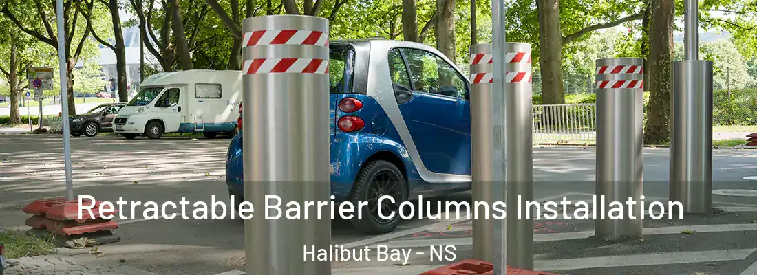 Retractable Barrier Columns Installation Halibut Bay - NS