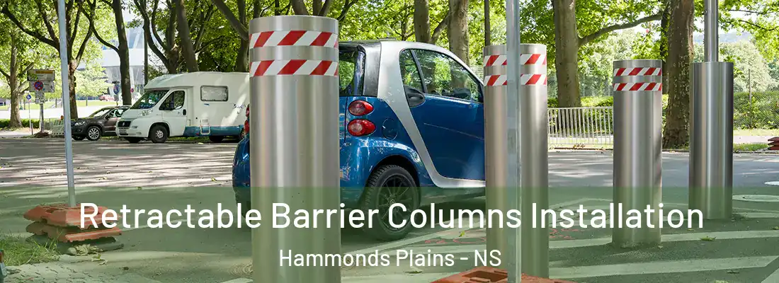 Retractable Barrier Columns Installation Hammonds Plains - NS