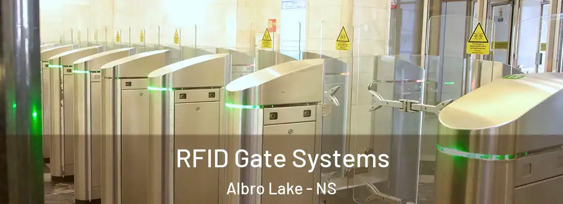  RFID Gate Systems Albro Lake - NS
