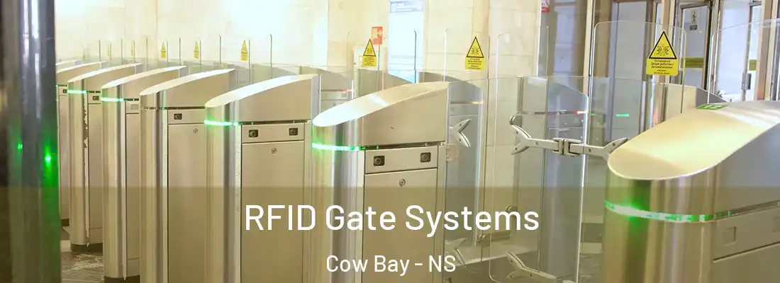 RFID Gate Systems Cow Bay - NS