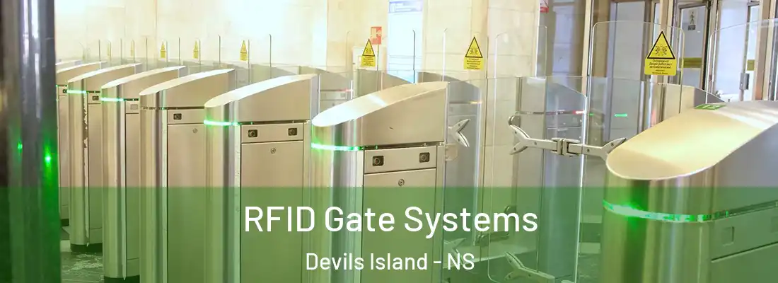 RFID Gate Systems Devils Island - NS