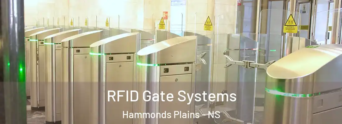 RFID Gate Systems Hammonds Plains - NS