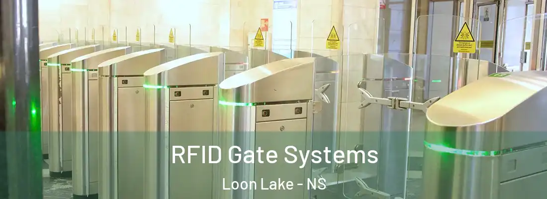  RFID Gate Systems Loon Lake - NS